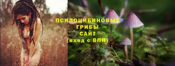 молекула духа Карпинск