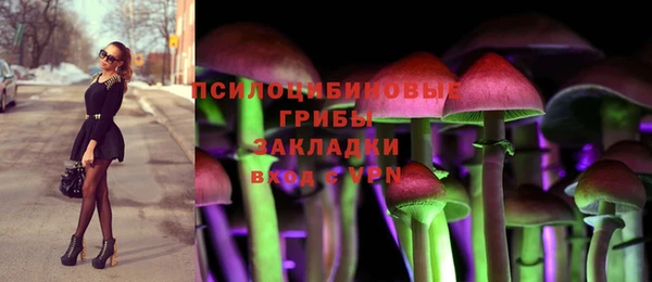 хмурый Карталы