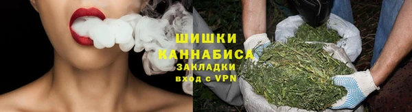 молекула духа Карпинск