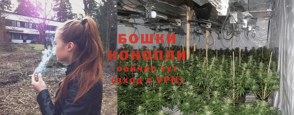 молекула духа Карпинск