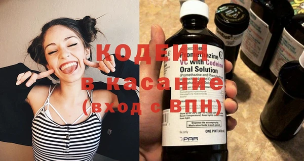 молекула духа Карпинск