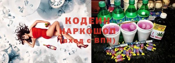 молекула духа Карпинск