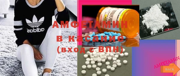 молекула духа Карпинск