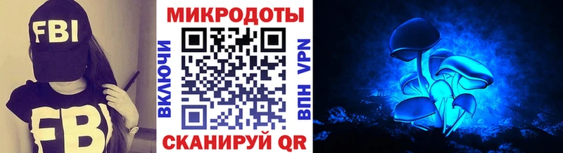 купить   ссылка на мегу ссылки  Псилоцибиновые грибы MAGIC MUSHROOMS  Курганинск 