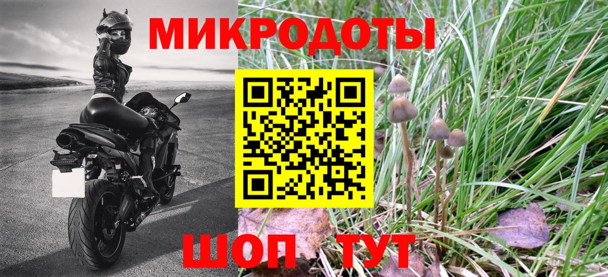 Псилоцибиновые грибы ЛСД Курганинск